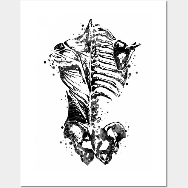 Human Back Bones and Muscles Anatomy Wall Art by LotusGifts